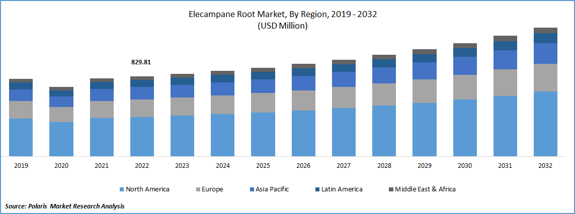 Elecampane Root Market Size